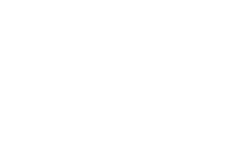 smyrna-ba_logo white
